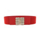 11mm Diamante Elasticated Stretchable Clip-ons Waist Belt Women Fashion Accessory